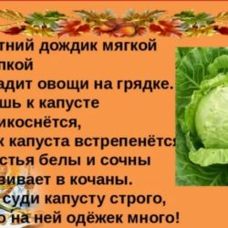 Капустные посиделки.